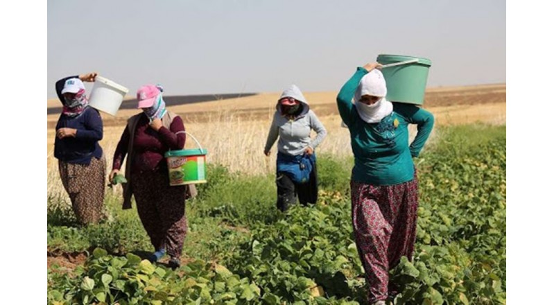 TÜMŞAD BURSA ŞUBESİ OLARAK EMEKÇİ KADINLAR GÜNÜNÜZÜ KUTLARIZ